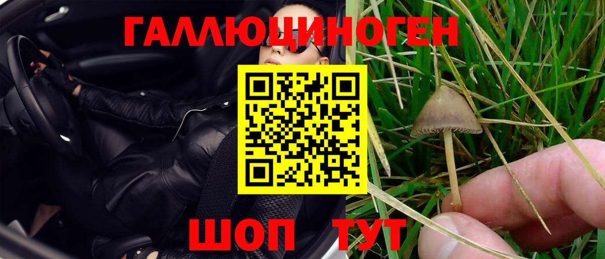 Лесосибирск  Псилоцибиновые грибы MAGIC MUSHROOMS  Вход с VPN 